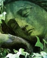 Siemoneit & Wüthrich Bestattungsdienste GmbH Bild 2