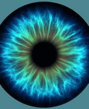 Opticien Guémené-sur-Scorff - Pole Optique Anne Thomas - Le Collectif des Lunetiers image 1