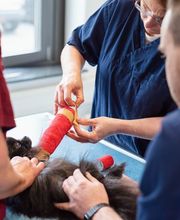 Tierarzt Aachen, Tierärztliches Zentrum für Chirurgie Dr. Kinzel Aachen Bild 1