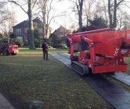 OAK Baumpflege GmbH Bild 1