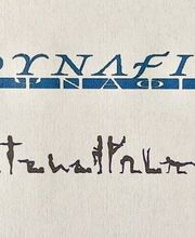 Dynafit image 3