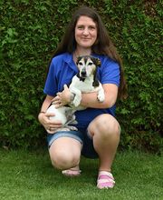 Tierarztpraxis im Hölzli Bild 4