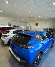 Mongodin Bellevue 1 image 12