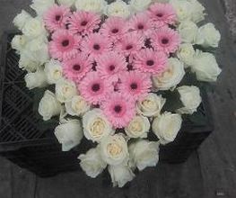Les Fleurs De Calicie image 13