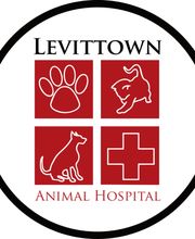 Levittown Animal Hospital image 19