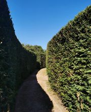 Alex Paysage image 11