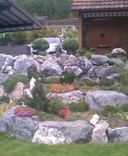 Baggerbetrieb Hasenfratz AG Bild 4