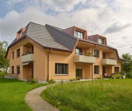 Zybach Holztechnik AG Bild 5