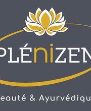 Plenizen image 2