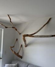 IMG_1544.jpeg