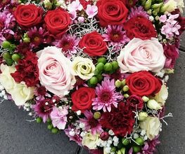 BlumenAden Bild 1