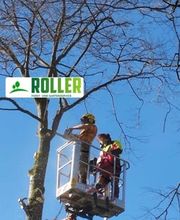 Forst- und Gartenservice Roller Bild 1