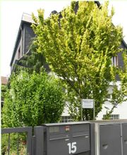 Gabriele Klein Heilpraktikerin Bild 1