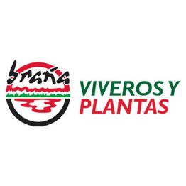 branaviverosyplantas.jpg