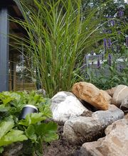 Hoek Havelte afbeelding 8