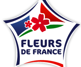 Ambiance de Fleurs image 11
