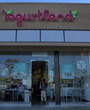 Yogurtland Midtown image 7