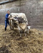 Luana EMINIC HUGO - L'ostéo animaux Bild 6