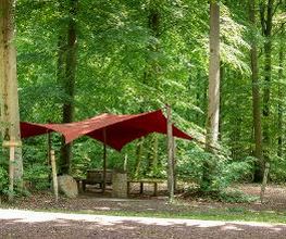 FriedWald Ostheide Bild 9
