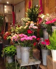 Mireille Fleurs image 7