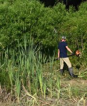 Lewis Enterprises LLC image 2