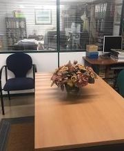 AULA DE ANA SANTIAGO imagen 6