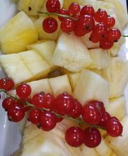 Schlechters Feriendomizil Bild 5