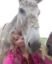 Champeaux Élodie marechal ferrant 27 eure image 16