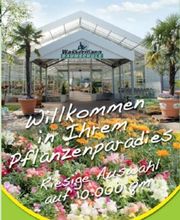 Baumschule Wassermann Bild 1