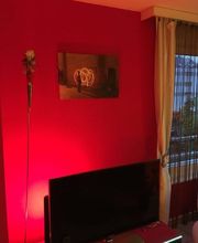 Liard Thierry Bild 11