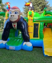 YD Immo Langoiran image 2