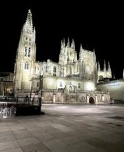 231443227-2-CIaAU6kCZP1746808339974.jpeg