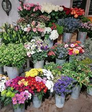 Aux Fleurs Et A Mesure image 13