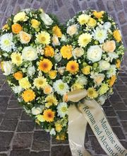 Lägere Blueme GmbH Bild 7