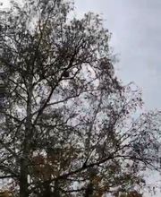 Stop Nuisibles 03 image 2