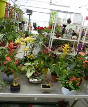 Truchy Christian SARL image 4