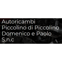 Autoricambi Piccolino Snc logo