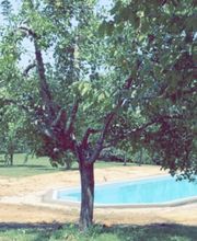 SARL Lasjunies Et Fils image 2