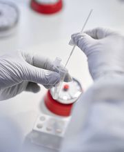 Stadt-Apotheke Bild 17