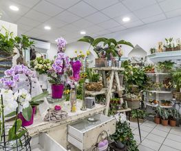 Fleur D' O image 8