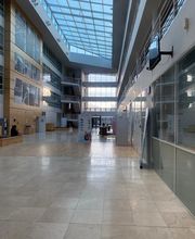 Lohanda image 6