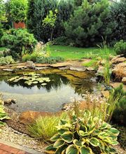 Paysagiste Descharmes Yoann image 4