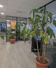 Agence d'intérim Randstad - Bordeaux Tertiaires image 4