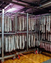 Gallery Professionale