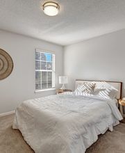 Elements of Madison Apartments image 19