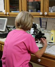 Crysler Animal Hospital image 9