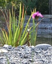 Gartenbau Schlup AG Bild 8