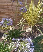 Heraud Teddy Paysages image 18