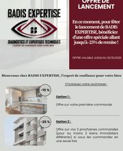 BADIS EXPERTISE image 3