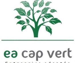 EA Cap Vert image 3